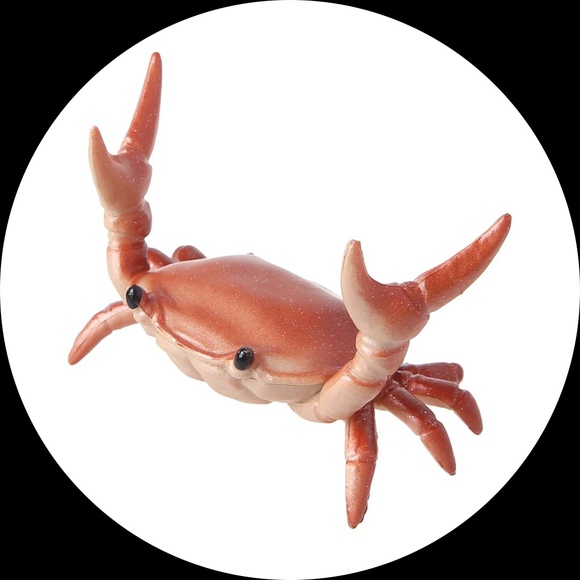 zanita221